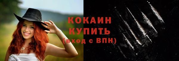 МДПВ Бородино