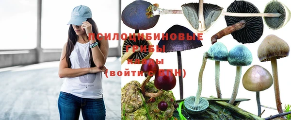 MDMA Нефтекумск