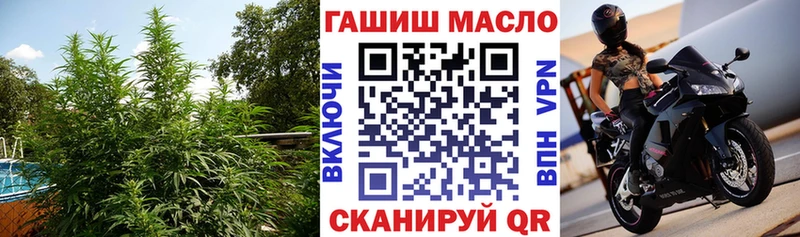 Дистиллят ТГК THC oil Палласовка