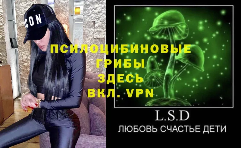 Псилоцибиновые грибы Psilocybe  Палласовка 